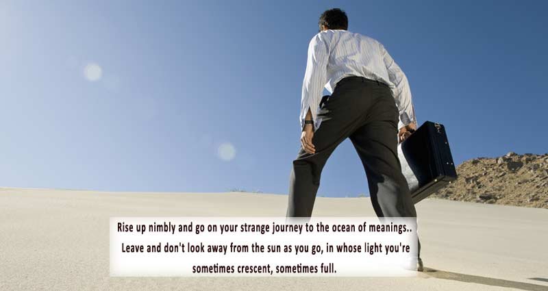 Rumi Travel Quotes Riseup