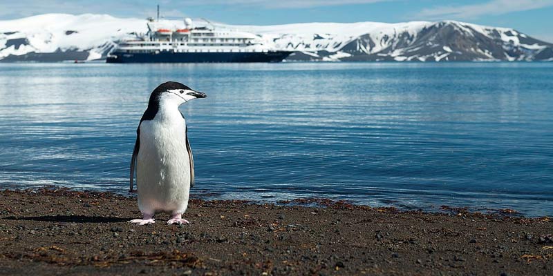 Top 5 Beaches in Antarctica that You Shouldn't Miss