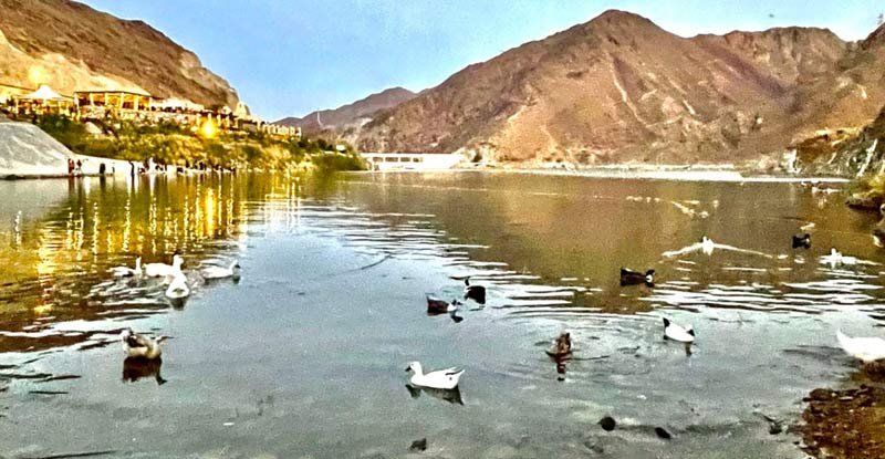 Al Rafisah Dam Bird Watching