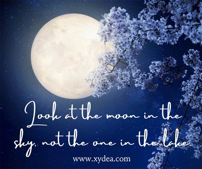 Rumi Travel Quotes #29