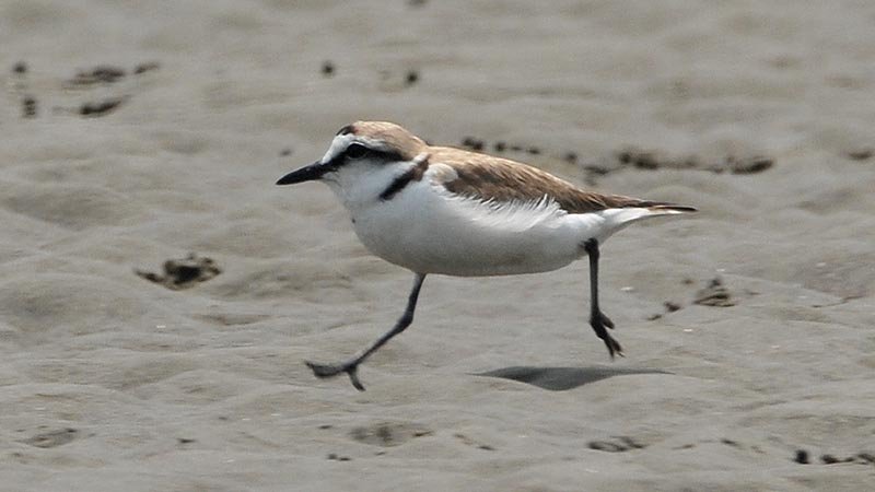 Raydah Escarpment Reserve